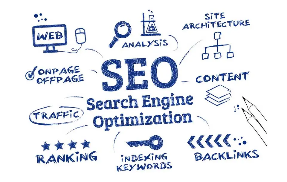 Chuyên Gia SEO (Search Engine Optimization)